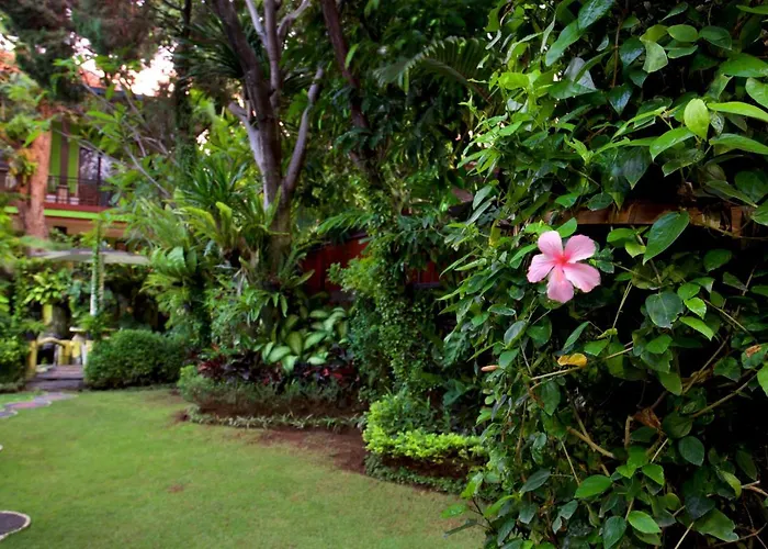 Budha's Kuta Lombok